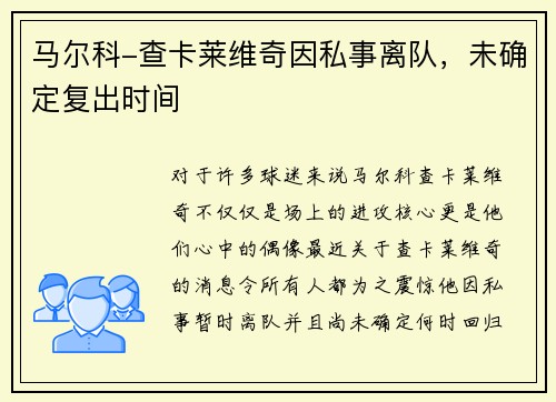 马尔科-查卡莱维奇因私事离队，未确定复出时间
